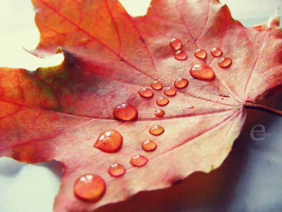 rain