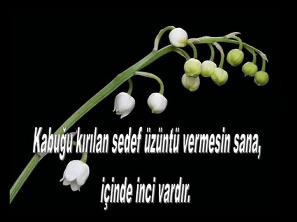 MEVLANA-OSMAN ÖZTUNÇ