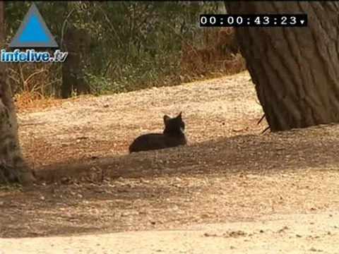 Infolive.tv minute - The scenic Jerusalem hillside