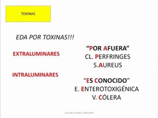CLASE VIRTUAL VILLAMEDIC-SUB TEMA 1- FUNDAMENTOS DE MICROBIOLOGÍA