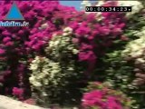 Infolive.tv Minute - Breathtaking Views From Karmei Yosef, A