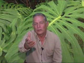 MI ATOTONILCO  BONITO por Gustavo Sanchez Alvarez. enero 23 del  2012