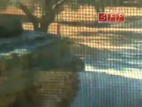 فري برس ادلب سرمين الدبابات في سرمين بعد الاقتحام 30 8 2011