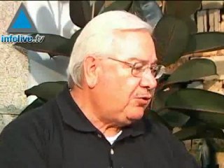 The Great Debate - A Divided Palestine