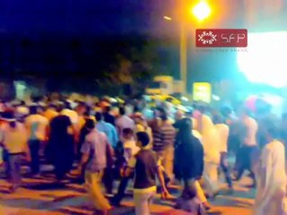 فري برس   تدمر تأييد المجلس الوطني2 10 2011