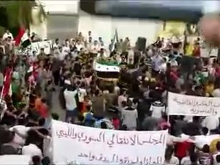 فري برس   الحولة ردا على الجامعة العربية 17 10 2011