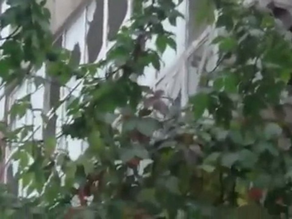 فري برس   حمص باب سباع آثار القصف والدمار الذي خلفته قصف عصابات الاسد 24 10 2011 ج1