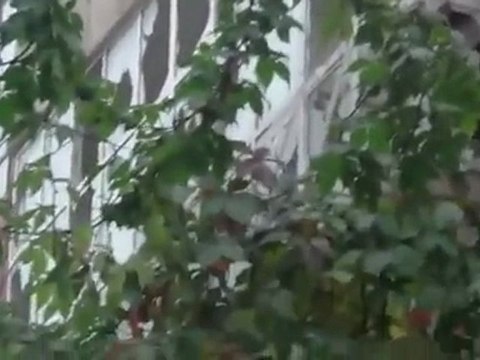 فري برس حمص باب سباع آثار القصف والدمار الذي خلفته قصف عصابات الاسد 24 10 2011 ج1