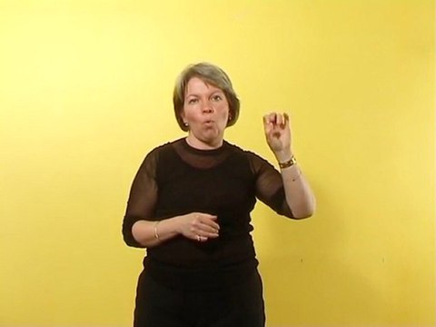 Le Pays Carcassonnais - L'Aude Pays Cathare en LSF