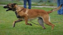 Be Aware Barnaba - Trainingsimpressionen