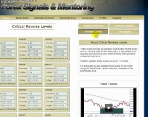 Forex mentor|Forex Signal|Forex Signal Strategies
