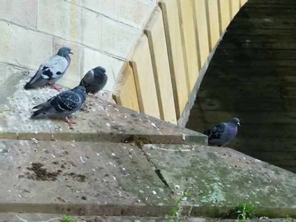 année 2011 - mois de septembre - nº 43