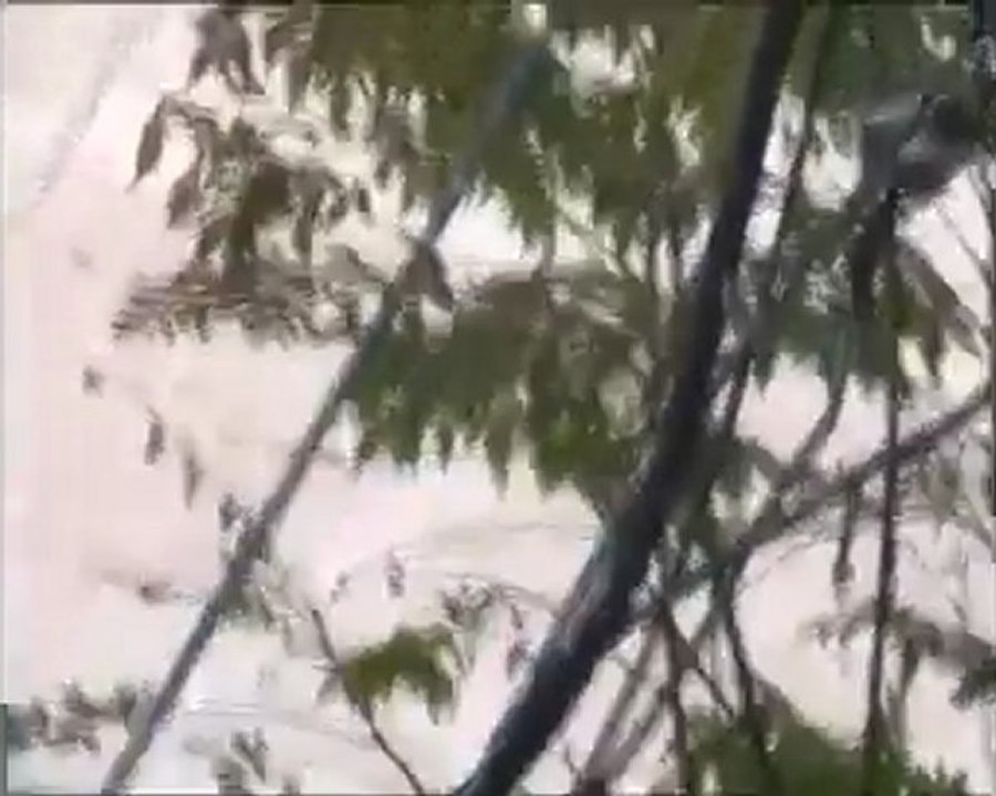 فري برس   حمص حي الخالدية اقتحام المصفحات لحي الخالدية 27 11 2011