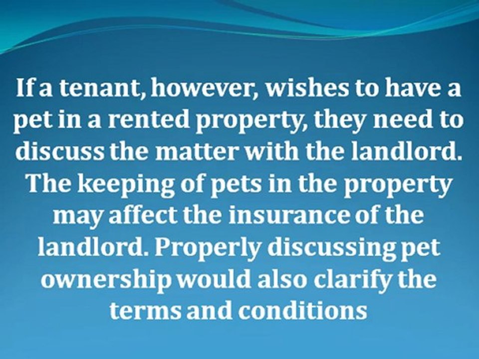What about Pets in Rented Properties