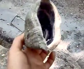 فري برس   حمص باب تدمر القذائف المستخدمة على المدنيين 23 1 2012