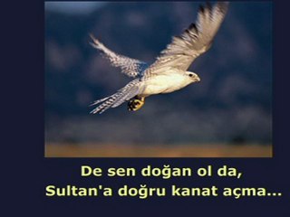 HAYAT VE ONUN ANLAMI