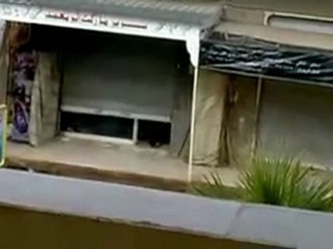 فري برس حماة حلفايا الجيش الأسدي يسرق المحلات التجارية 29 11 2011