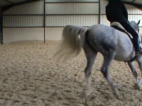 galop G à juste et à faux 22.01.12