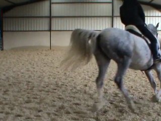 galop G à juste et à faux 22.01.12