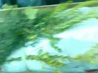 فري برس   الشهيد علي رسلان دمشق زملكا 10 12 2011