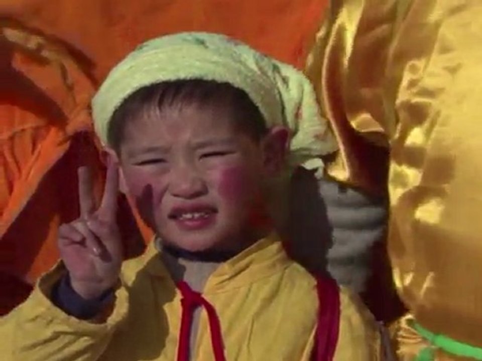 Baby-boom im drachen-jahr