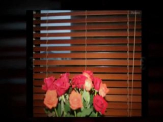 Venetian Blinds NZ – Versatile Auckland Aluminum Venetian Blinds