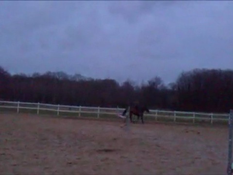 rodeo trot galop coup de cul