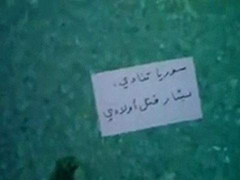 فري برس حرائر جبلة توزيع المناشير في شوارع المدينة 20 12 2011