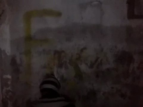 فري برس دمشق حي القدم الرجل البخاخ يسقط بشار الاسد 20 12 2011