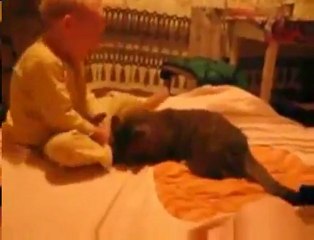 Bebekle Kedinin Kavgası