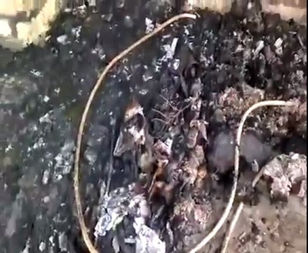 فري برس ادلب كفرنبل المحتلة إحراق منزل كان يختبئ فيه الناشط