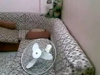 فري برس   هام حمص  شبيحة الاسد يسرقون المال والذهب بحجة التفتيش