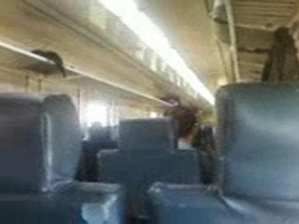 train sncft ala gare de bir bouregba nabeul  tunisie