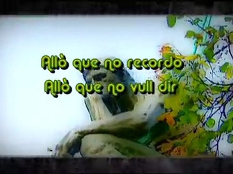 TV3- Català a l'atac - Daixonses