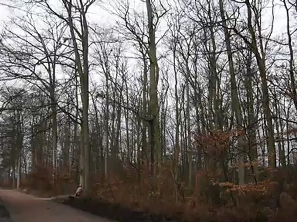 COUPE.mov