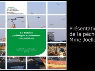 La future politique commune des pêches - CESE