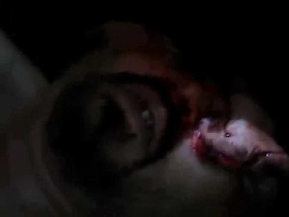 فري برس   حمص القصور الشهيد محمد فراس المهيني 29 12 2011