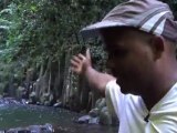 Guadeloupe Trotter - Jour 5 - Cascade et Kakado