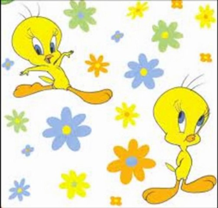 Bircan Hatice Akbulut  (MAKAS)