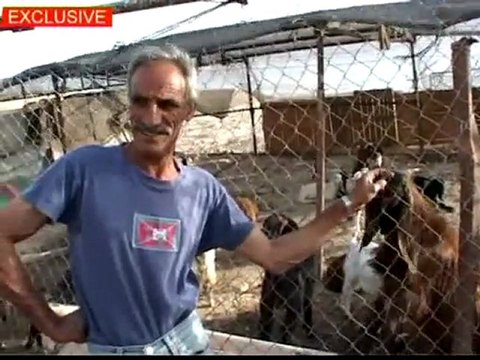 The Bedouins of Israel