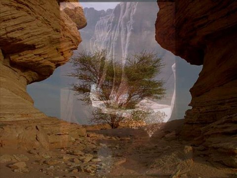 Le désert du Tchad SON ET IMAGES FRANCE INFO MONTAGE PAR TCHADONLINE.COM/TV