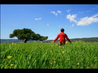 Memleket İsterim-Bir Cahit Sıtkı Tarancı Şiiri