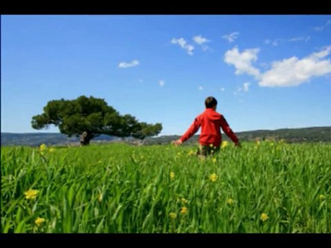 Memleket İsterim-Bir Cahit Sıtkı Tarancı Şiiri