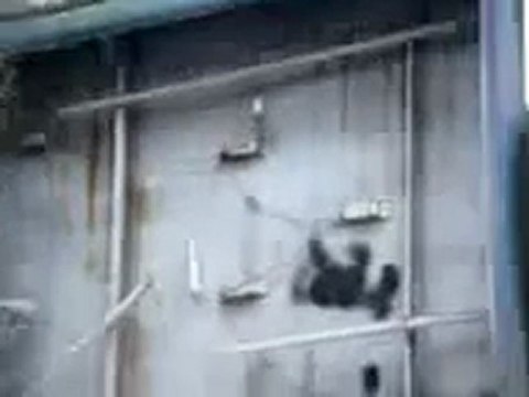 فري برس ريف دمشق داريا جانب من حملة الرجل البخاخ ورفع علم الاستقلال