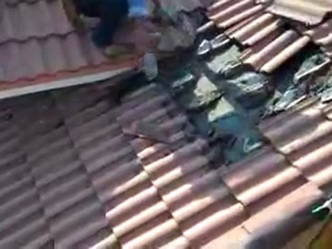 Bat Infestation Under Tile Roof- Roofing Miami FL- Istueta Roofing