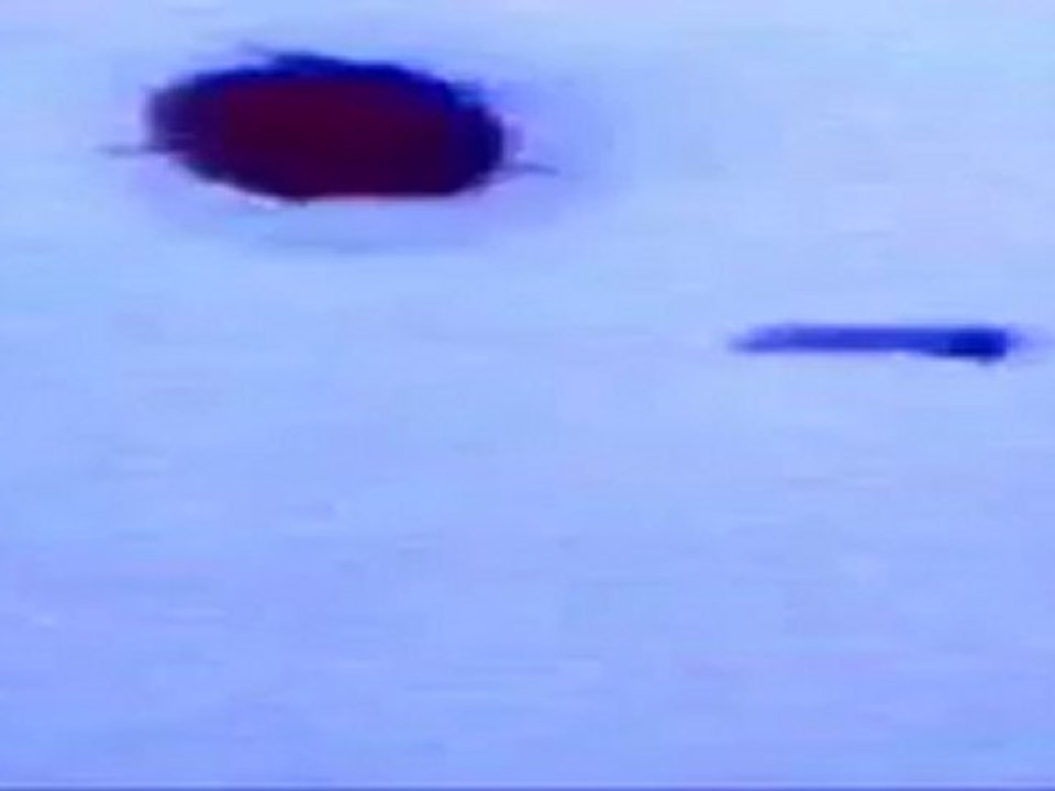 ovni ufo Hagen 1980