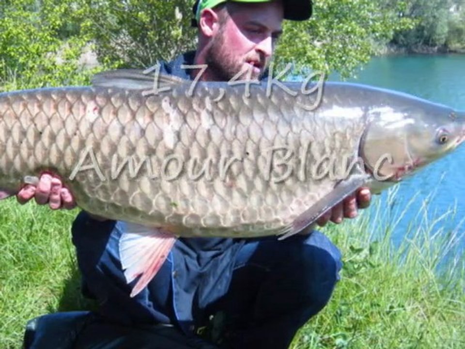 peche a la Carpe 2010-2011 avec les amis