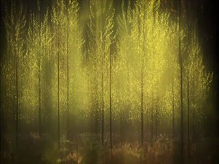 Ochii Albastri ai lui Dumnezeu - Adriana Margalina