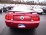 2006 Ford Mustang Charlotte NC - by EveryCarListed.com