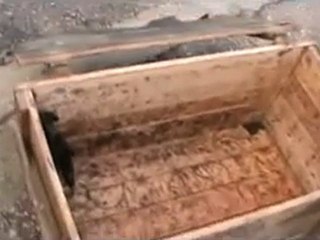 فري برس   صناديق الذخيرة التي استخدمت في قصف مضايا 19 1 2012